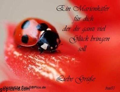 liebe gruse bilder spruche