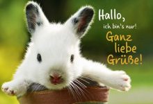 ᐅ liebe gruse bilder tiere - Donnerstag GB Pics