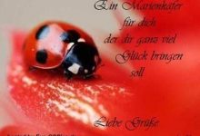 ᐅ liebe gruse bilder und spruche - Dienstag GB Pics