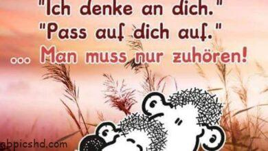 ᐅ liebe lustige bilder - Liebe Gruse GB Pics