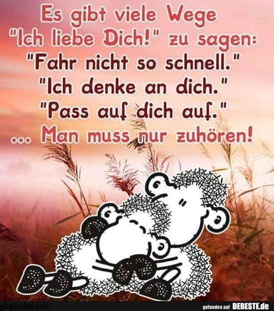 liebe lustige bilder