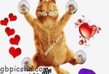 ᐅ lustig gute nacht bilder - Gute Nacht GB Pics