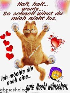 lustig gute nacht bilder