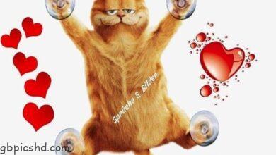 ᐅ lustig gute nacht bilder - Gute Nacht GB Pics
