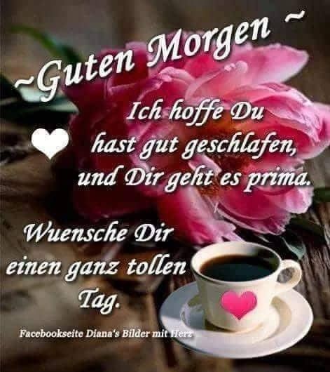 Lustig guten morgen sagen bilder und spruche fur whatsapp und facebook koste 001