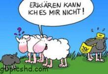 ᐅ lustige bilder 8 - Jahrestag GB Pics