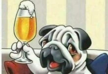 ᐅ lustige bilder bier trinken kostenlos - Pfingsten bilder GB Pics