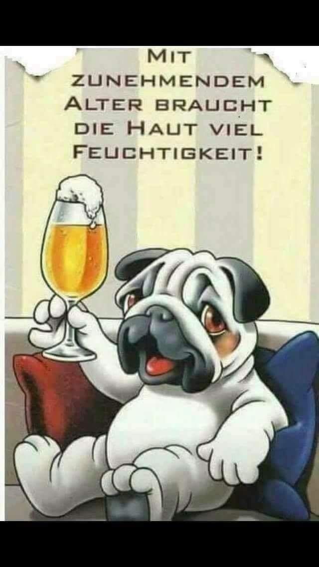 Lustige bilder bier trinken kostenlos 005