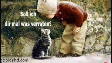 ᐅ lustige bilder freitag - Freitag GB Pics
