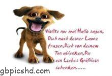 ᐅ lustige bilder hallo sagen - Nachmittag GB Pics