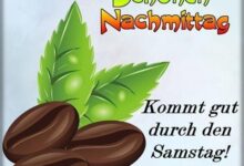 ᐅ Lustige Bilder Samstag Nachmittag - GB Pics