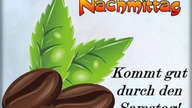 ᐅ Lustige Bilder Samstag Nachmittag - Samstag GB Pics