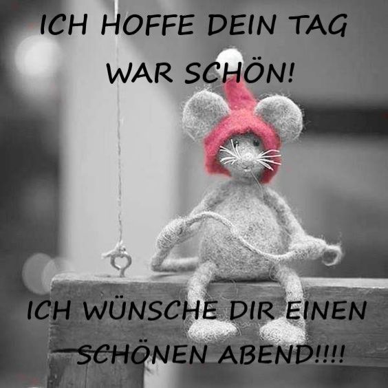 Lustige bilder schonen abend 001