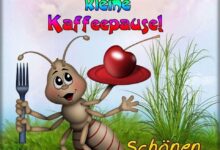 ᐅ Lustige Bilder Sprüche Zum Nachmittag - Guten Morgen GB Pics