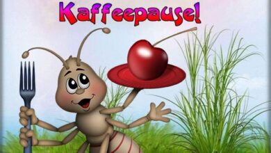 ᐅ Lustige Bilder Sprüche Zum Nachmittag - Nachmittag GB Pics