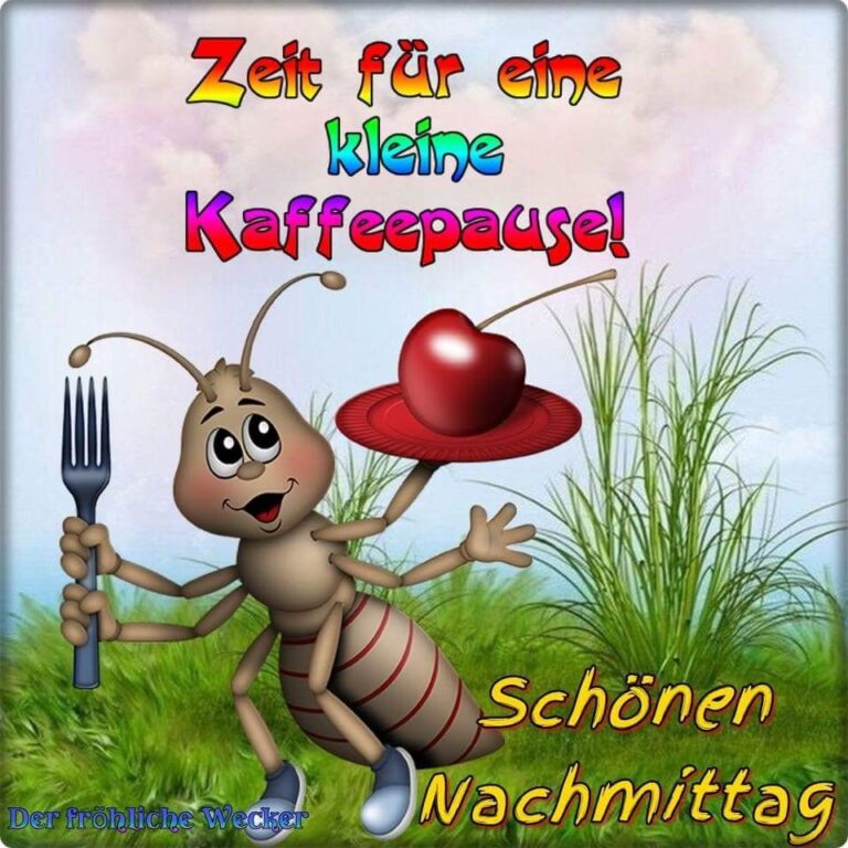 Lustige Bilder Sprüche Zum Nachmittag