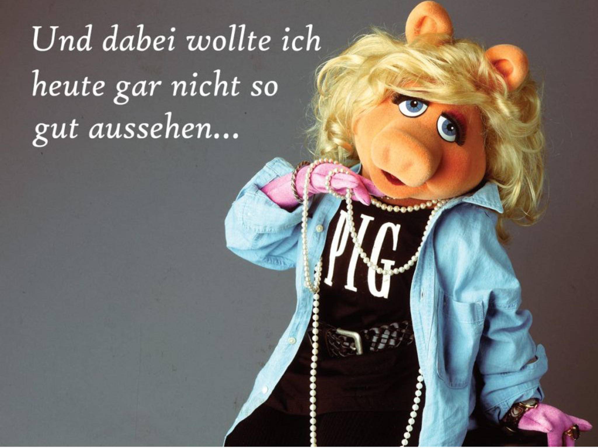 lustige bilder whatsapp Archives