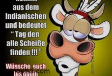 ᐅ lustige sonntagsbilder kostenlos - GB Pics
