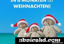 ᐅ lustige sprüche in 6 monaten ist weihnachten - Feste / Anlässe GB Pics