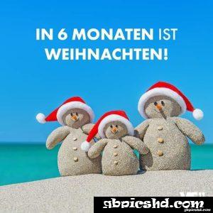lustige sprüche in 6 monaten ist weihnachten
