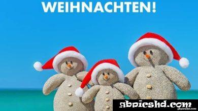 ᐅ lustige sprüche in 6 monaten ist weihnachten - Advent GB Pics