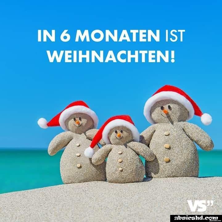 lustige sprüche in 6 monaten ist weihnachten