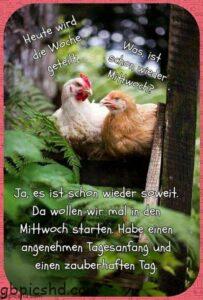 mittwoch bilder
