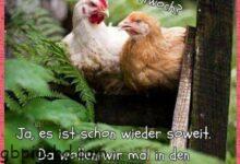 ᐅ mittwoch bilder - Liebe Gruse GB Pics