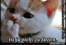 ᐅ mittwoch lustig - Dienstag GB Pics