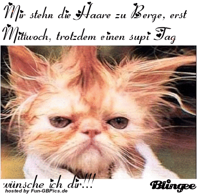 ᐅ mittwoch lustig - Mittwoch GB Pics mittwoch lustig