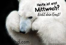 ᐅ mittwoch sprüche - Montag GB Pics