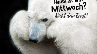 ᐅ mittwoch sprüche - Mittwoch GB Pics