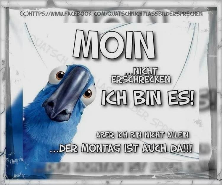 moin montag bilder