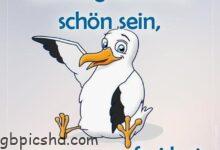 ᐅ montag bilder lustig - Gute Nacht GB Pics