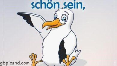 ᐅ montag bilder lustig - Montag GB Pics