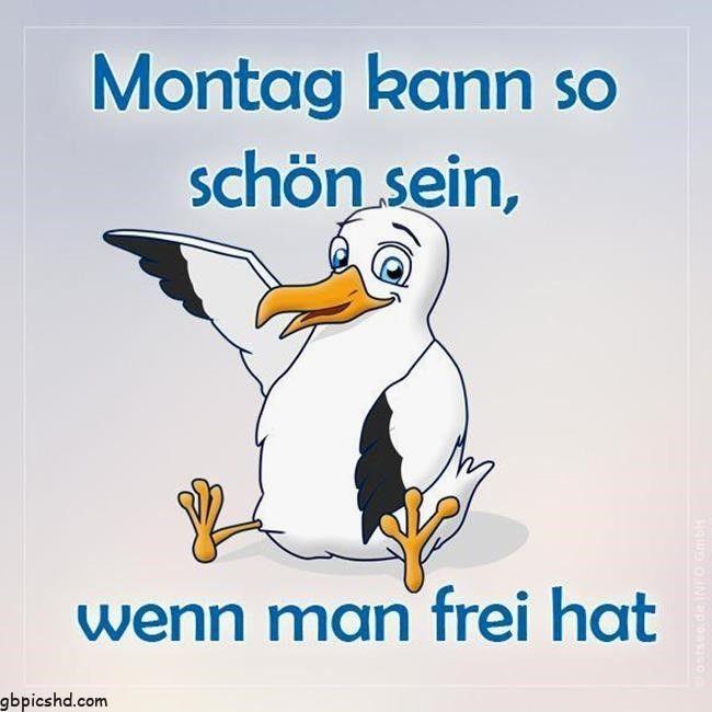 montag bilder lustig