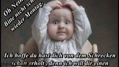 ᐅ montag bilder sprueche lustig - Montag GB Pics