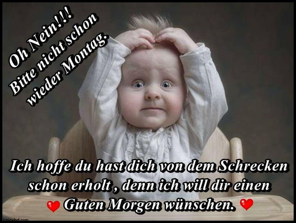 Lustige Montag Bilder und Sprüche zum Wochenstart