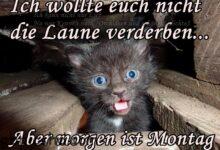 ᐅ morgen ist montag bilder lustig kostenlos - Montag GB Pics