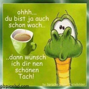morgenalle schon wach 41