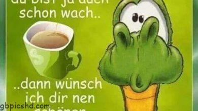 ᐅ morgenalle schon wach 41 - Feste / Anlässe GB Pics