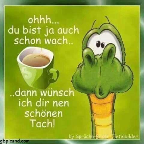 morgenalle schon wach 41