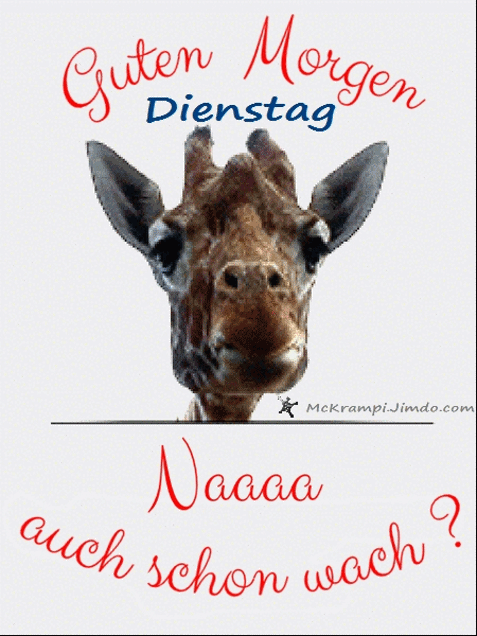 Morgenalle schon wach 41 011