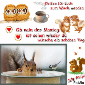oh montag bilder