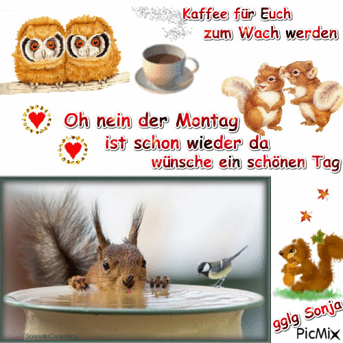 ᐅ oh montag bilder - Montag GB Pics oh montag bilder