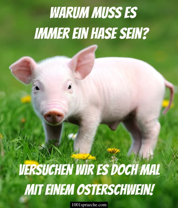 Ostergrue lustig bilder 003