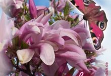 ᐅ pfingsten gastebuch bilder 02 schoene pfingsten jpg gb pics - Karneval GB Pics
