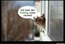 ᐅ postkarten fruhling so suuus da kukst du - Nachmittag GB Pics