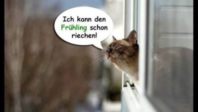 ᐅ postkarten fruhling so suuus da kukst du - Pfingsten bilder GB Pics