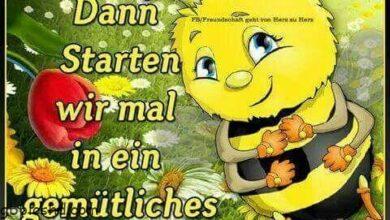 ᐅ samstag bilder fuer whatsapp - Samstag GB Pics